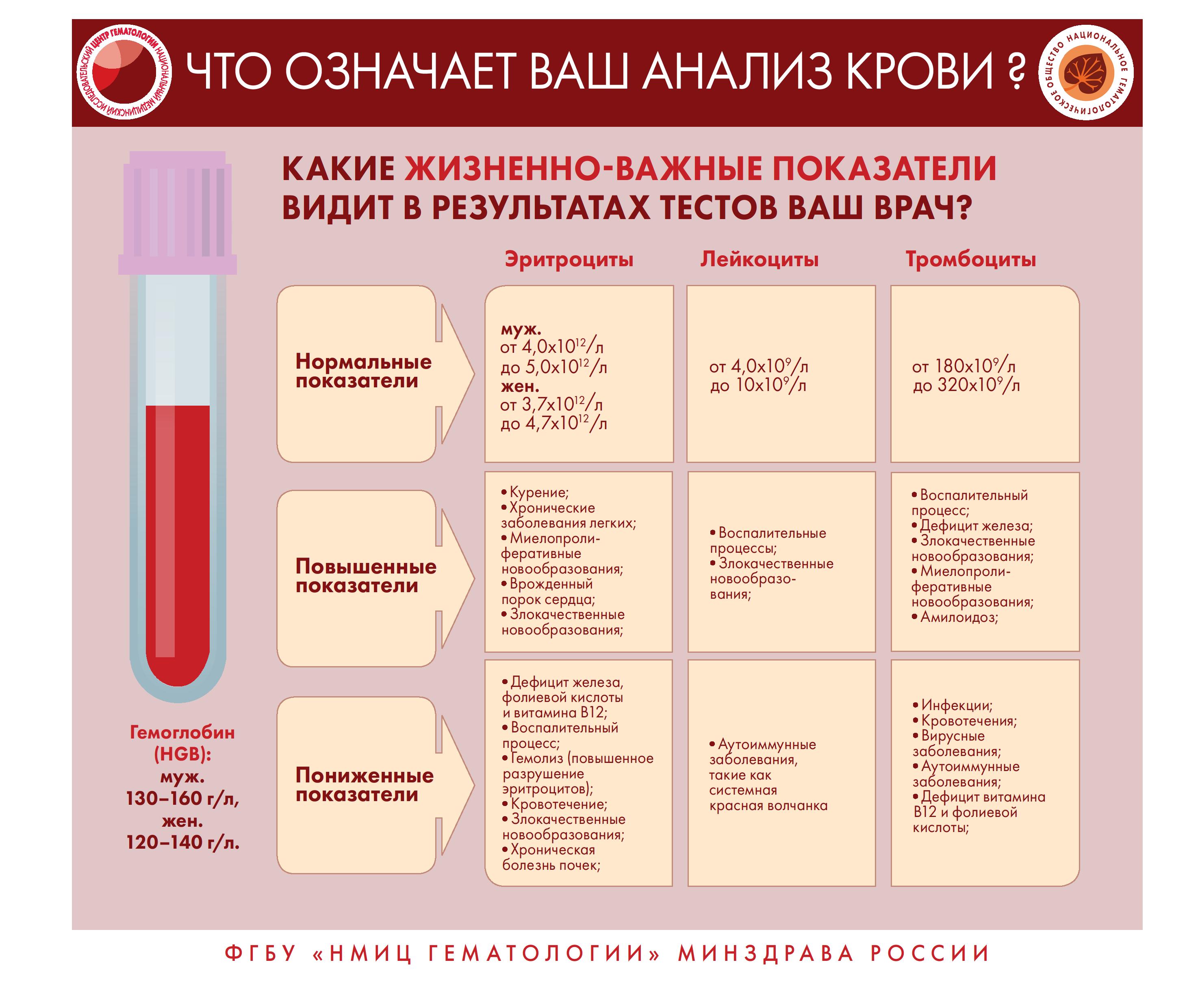 Инфографика 0003