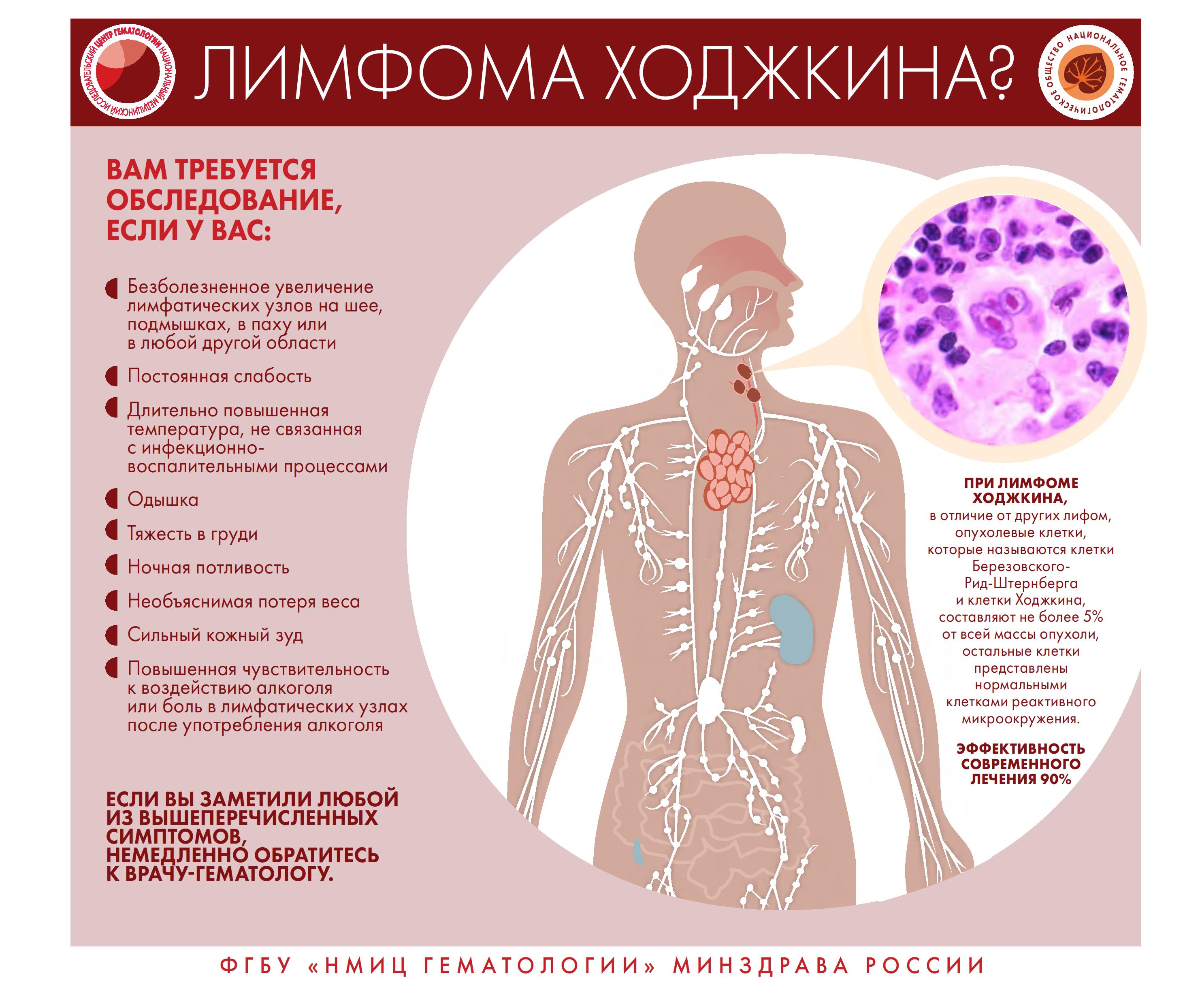 Инфографика 0005