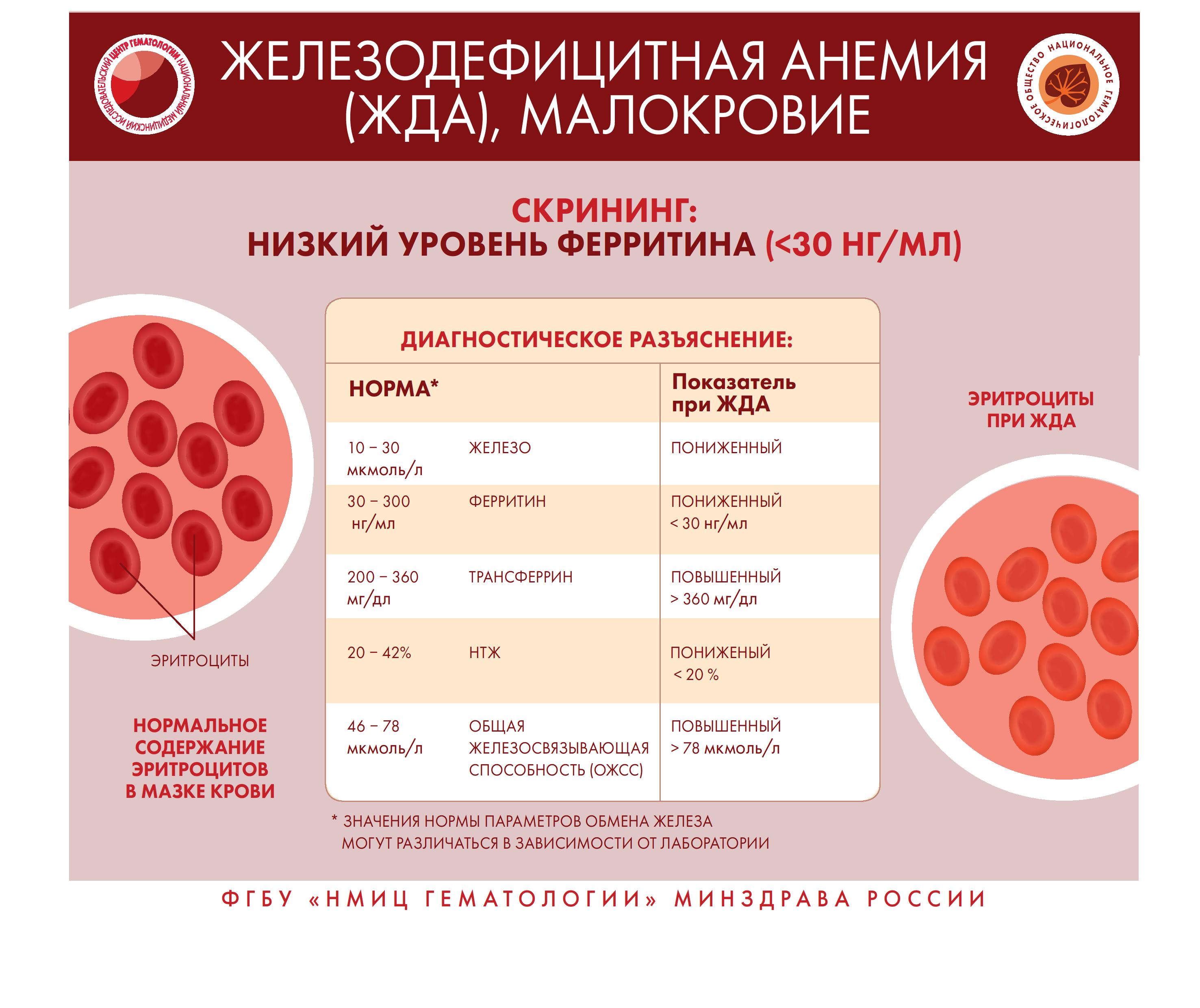 Инфографика 0008