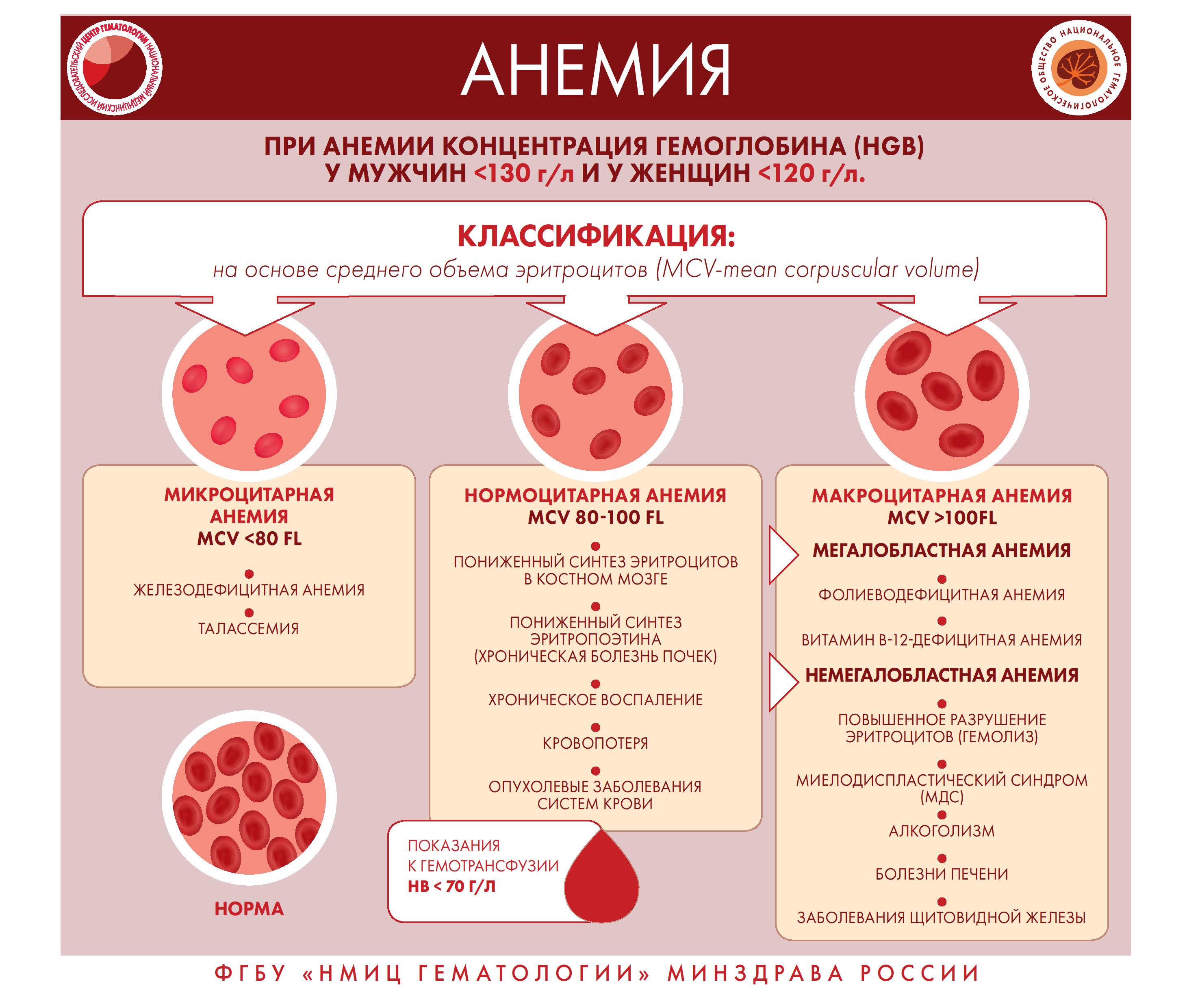 Инфографика 0012